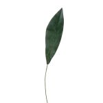 Foglia di aspidistra artificiale PAISA, 75cm