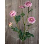 Künstliche Chrysantheme RYON, rosa-grün, 70cm, Ø3-5cm