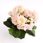 Begonia di plastica IVANA su stelo, rosa-bianco, 20cm, Ø3-5cm