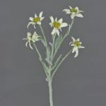 Stella alpina finta SOPHIA, bianca, 40cm, Ø5-6cm