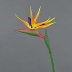 Strelizia artificiale LATIFA, arancione-viola, 80cm, 17x20cm