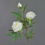 Ramo di peonia artificiale MANJA, bianco, 70cm, Ø8-10cm