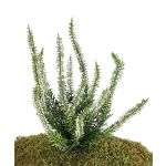 Erica finta IMKE su stelo, crema, 25cm, Ø1cm