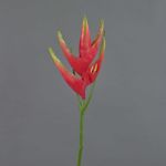 Speronella finta TOMKE, rosso-verde, 80cm, Ø30cm