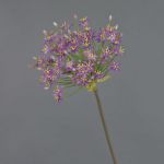 Allium finto BRAIS, viola, 90cm