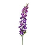 Delphinium artificiale ALARICO, viola, 130cm