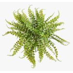 Deko Knopffarn IMAI auf Steckstab, grün, 40cm, Ø50cm