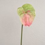 Flamingoblüte künstlich YUSEI, grün-rosa, 65cm, 13,5x16cm