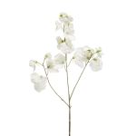 Künstliche Blume Duftwicke KANZI, weiß, 75cm, Ø4-7cm