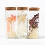 Trockenblumen im Glas FELICITY, 3 Stück, rosa-lila-weiß, 12,5cm, Ø4,5cm