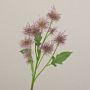 Ramo decorativo di cardo sferico GESKENDA, lilla, 60 cm, Ø 3,5-5 cm