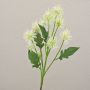Ramo decorativo di cardo sferico GESKENDA, crema-bianco, 60 cm, Ø 3,5-5 cm