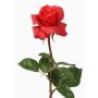 Rosa artificiale AMELIE, rossa, 70cm, Ø8cm