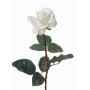 Rosa artificiale AMELIE, bianca, 70cm, Ø8cm