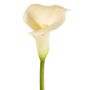 Fiore artificiale Calla MIRAC, color crema, 75cm, 12x15cm