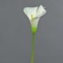 Fiore artificiale Calla MIRAC, color crema, 75 cm, 12x15 cm