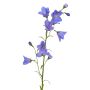 Campanula finta GISELA, blu, 65cm, Ø5cm