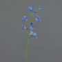 Campanula finta GISELA, blu, 65cm, Ø5cm
