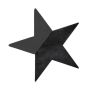 OASIS® Black Ideal schiuma da infilaggio a umido a forma di stella, base in legno Bioline, nero, 30x29x4,5 cm