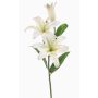 Fiore artificiale giglio tigrato KRAWEL, Eco Collection, bianco-verde, 85 cm, Ø 21 cm