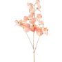 Ramo artificiale di Lathyrus latifolius SLIRKEN, color albicocca, 75 cm