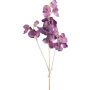 Ramo artificiale di Lathyrus latifolius SLIRKEN, viola scuro, 75 cm