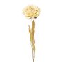Fiore artificiale peonia MASNOR, effetto secco, color crema, 65 cm