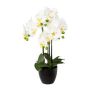 Orchidea Phalaenopsis decorativa UKERNA in vaso di resina, bianca, 55 cm