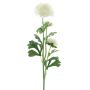 Fiore artificiale Ranuncolo PROTO, color crema, 65 cm