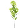 Ramo artificiale di viburno THENOS, verde chiaro, 90cm