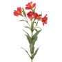 Giglio dell’Inca artificiale AUBERTA, rosa-giallo, 75 cm, Ø 6 cm