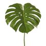 Foglia decorativa Philodendron Monstera Deliciosa THALWIL, 60 cm