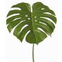 Foglia decorativa Philodendron Monstera Deliciosa THALWIL, 60cm
