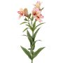 Giglio dell'Inca artificiale AUBERTA, rosa-fucsia-giallo, 75 cm, Ø 6 cm