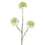 Allium artificiale ALIKIO, bianco, 65 cm, Ø 7 cm
