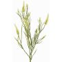 Ramo artificiale di trifoglio EUTIN con fiori, bianco-verde, 80 cm, Ø 1,5-2 cm