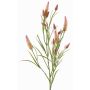 Ramo artificiale di trifoglio EUTIN con fiori, rosa antico-verde, 80 cm, Ø 1,5-2 cm