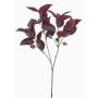 Ramo di eucalipto artificiale VIZIMIR con frutti, rosso bordeaux, 80 cm