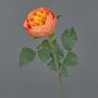 Rosa cavolo artificiale VANNI, arancione, 60 cm, Ø 9 cm