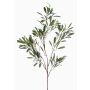 Ramo decorativo di ulivo RIGELIO, 120cm