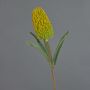 Fiore artificiale decorativo Banksia robur EREDIN, giallo-verde, 70 cm, Ø 7 cm