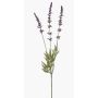 Fiore artificiale di lavanda TORNE, viola, 65 cm, Ø 3 cm