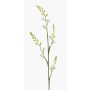 Fiore artificiale di montbretia KATHERYN, color crema, 90 cm