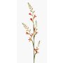 Fiore artificiale Montbretia KATHERYN, rosso-arancione, 90 cm