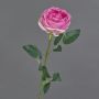 Rosa artificiale THYRI, rosa-fucsia, 65 cm, Ø 10 cm