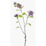 Ramo artificiale di clematide RUHNA, viola, 75 cm