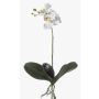 Orchidea Phalaenopsis finta FAO su stelo, bianca, 45cm