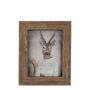 Cornice in legno ESKIL, stampata, marrone, 20x15x2 cm
