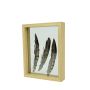 Cornice in legno a doppio vetro NIELAS, marrone, 22x17x5 cm