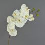 Ramo artificiale di orchidea Phalaenopsis RICKY, color crema, 95 cm, Ø 7-11 cm